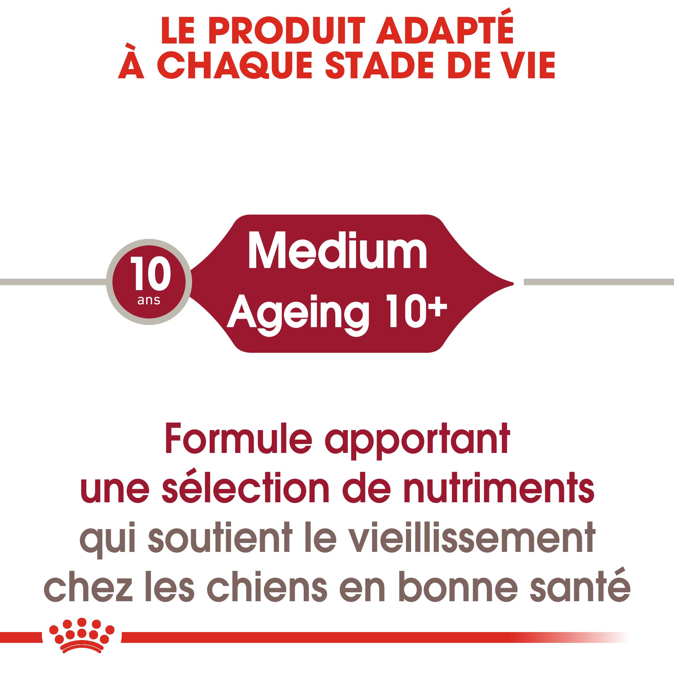 Royal Canin - Medium Ageing 10+ Nourriture Chien - ROYAL CANIN - Image 2
