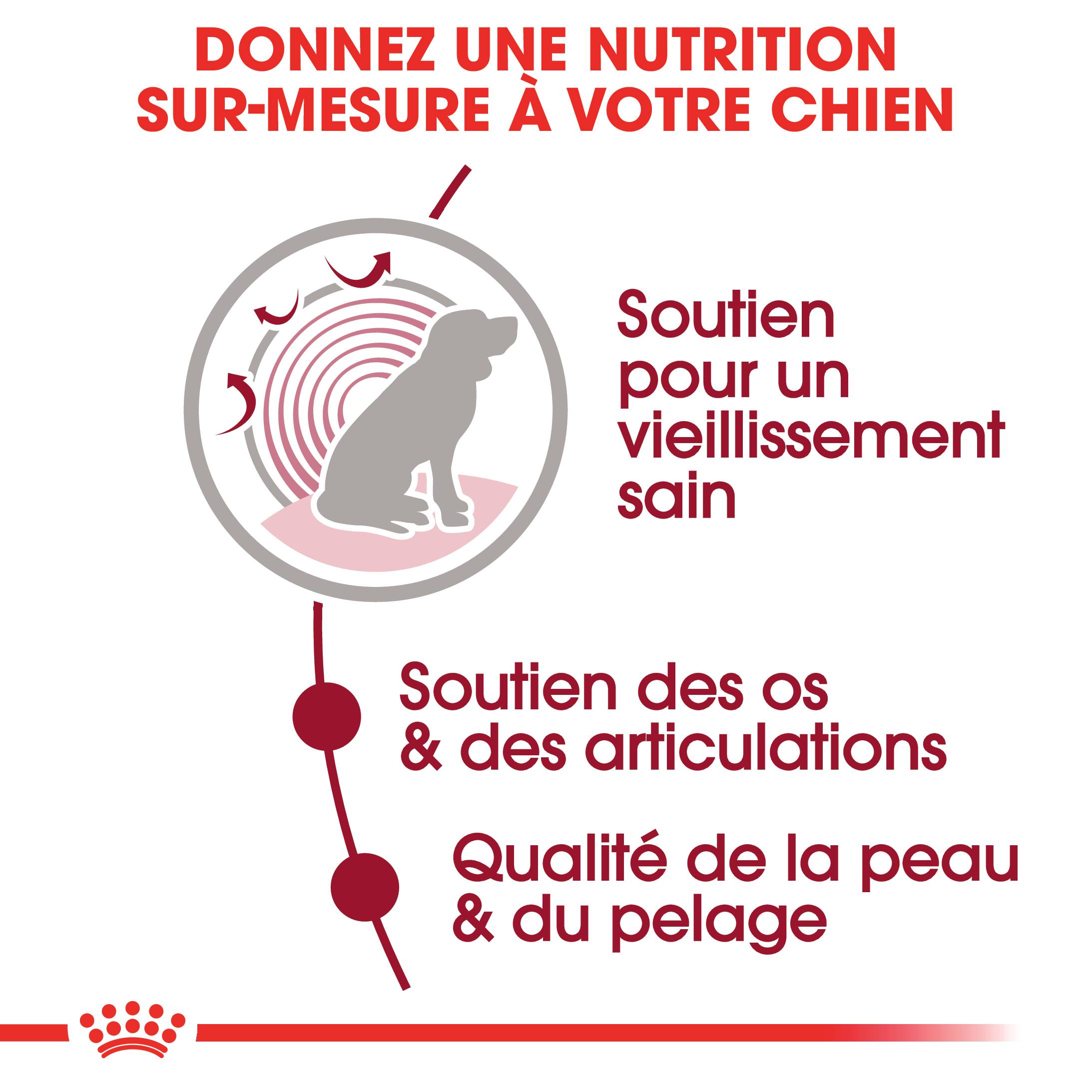 Royal Canin - Medium Ageing 10+ Nourriture Chien - ROYAL CANIN - Image 8