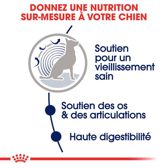 Royal Canin - Nourriture Humide Chiens Grande Race 8+ - ROYAL CANIN - Image 9