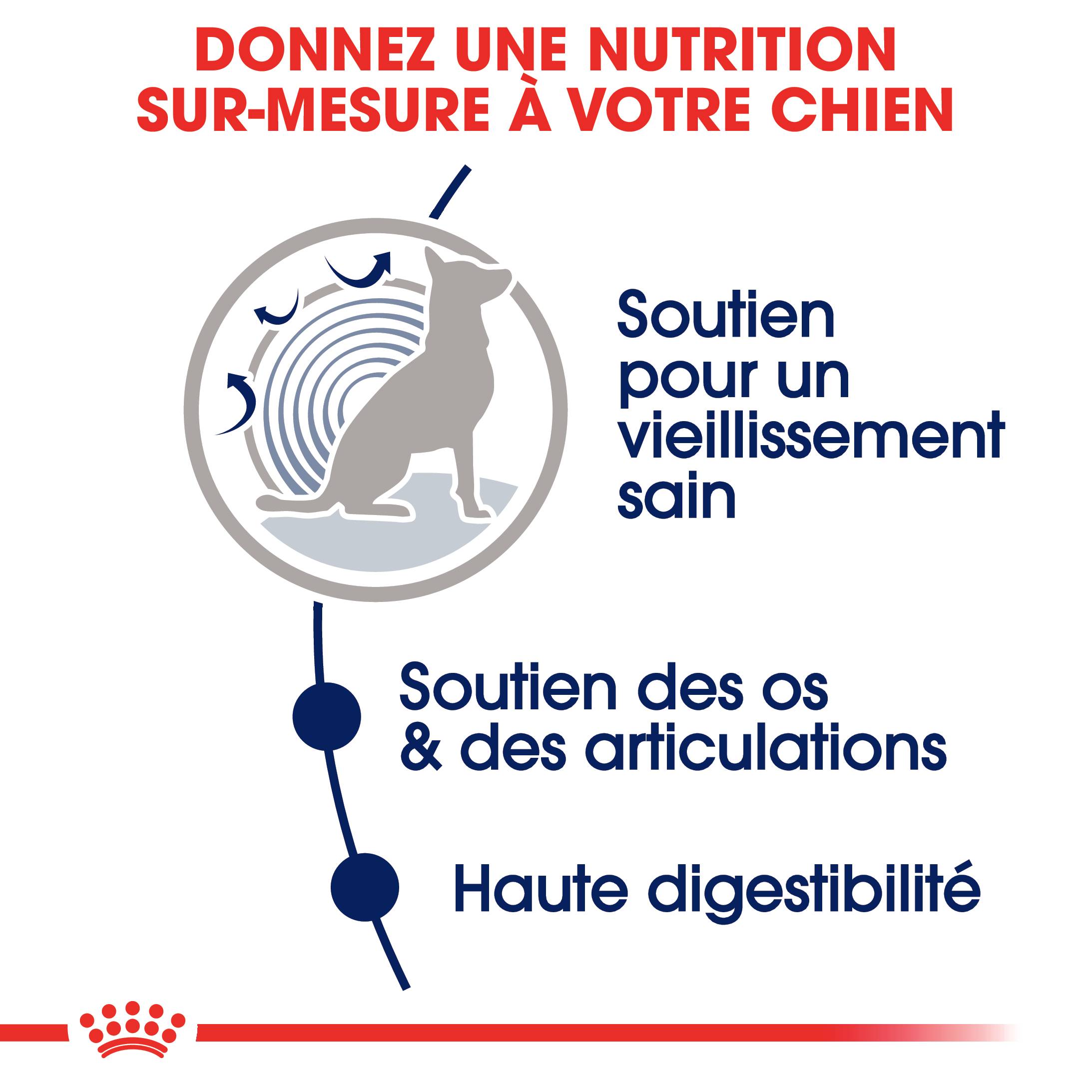 Royal Canin - Nourriture Humide Chiens Grande Race 8+ - ROYAL CANIN - Image 9