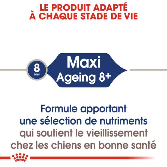 Royal Canin - Nourriture Humide Chiens Grande Race 8+ - ROYAL CANIN - Image 5