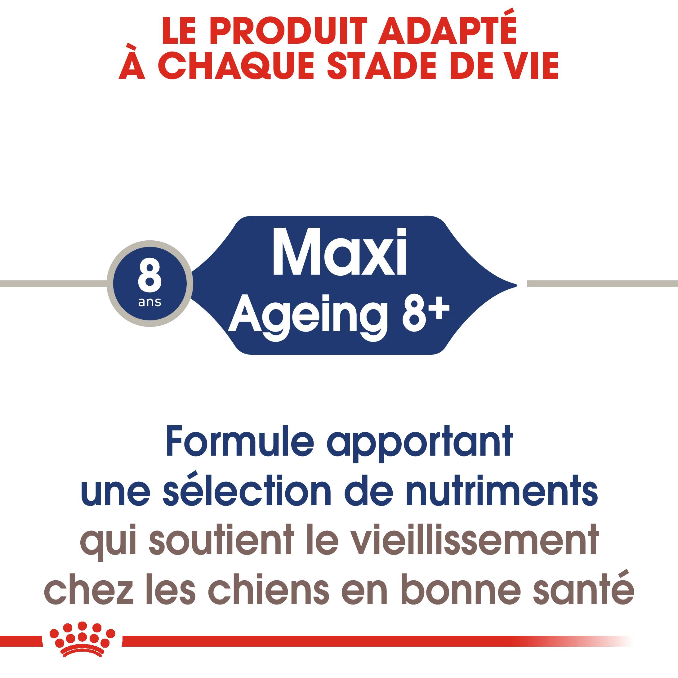 Royal Canin - Nourriture Humide Chiens Grande Race 8+ - ROYAL CANIN - Image 5