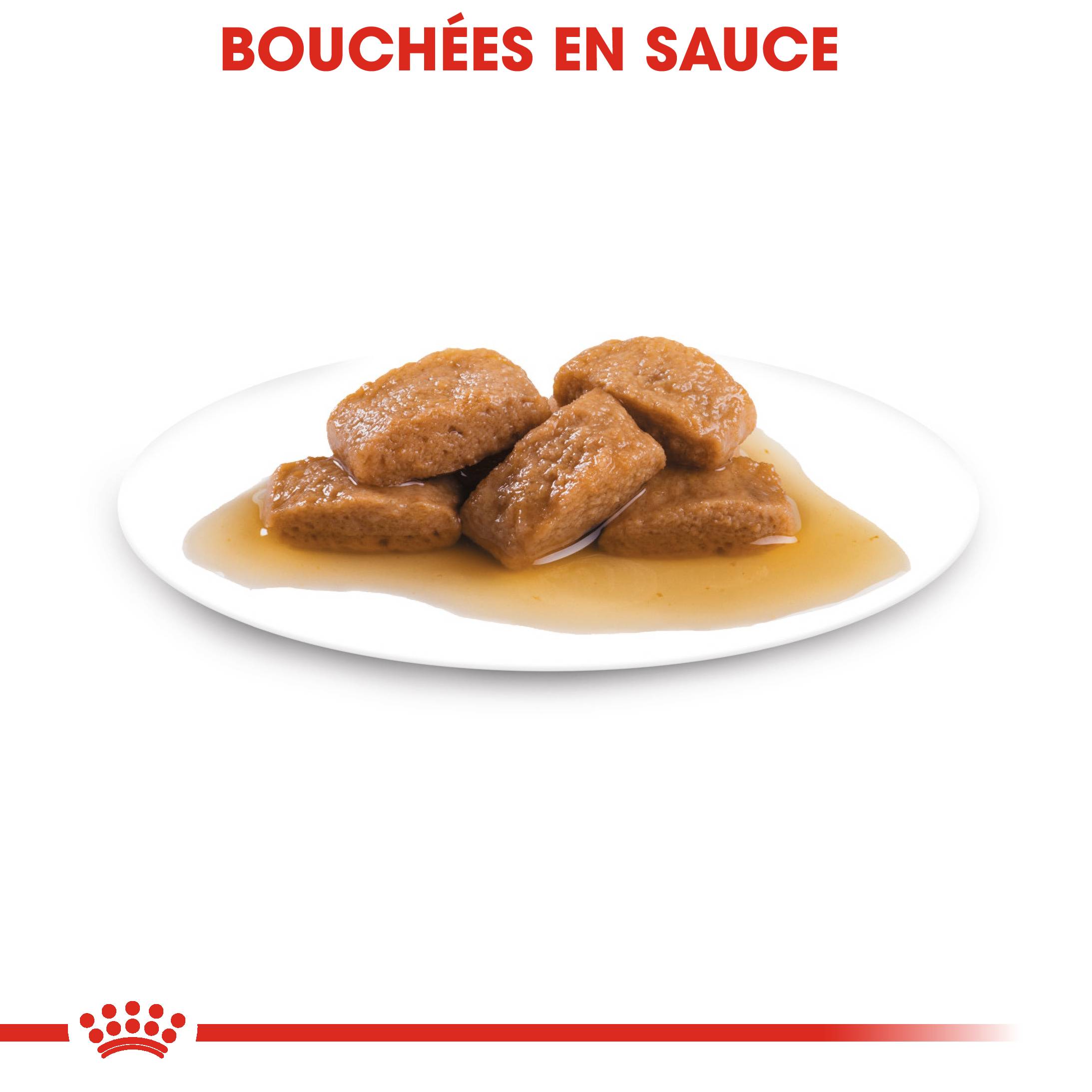 Royal Canin - Nourriture Humide Chiens Grande Race 8+ - ROYAL CANIN - Image 2