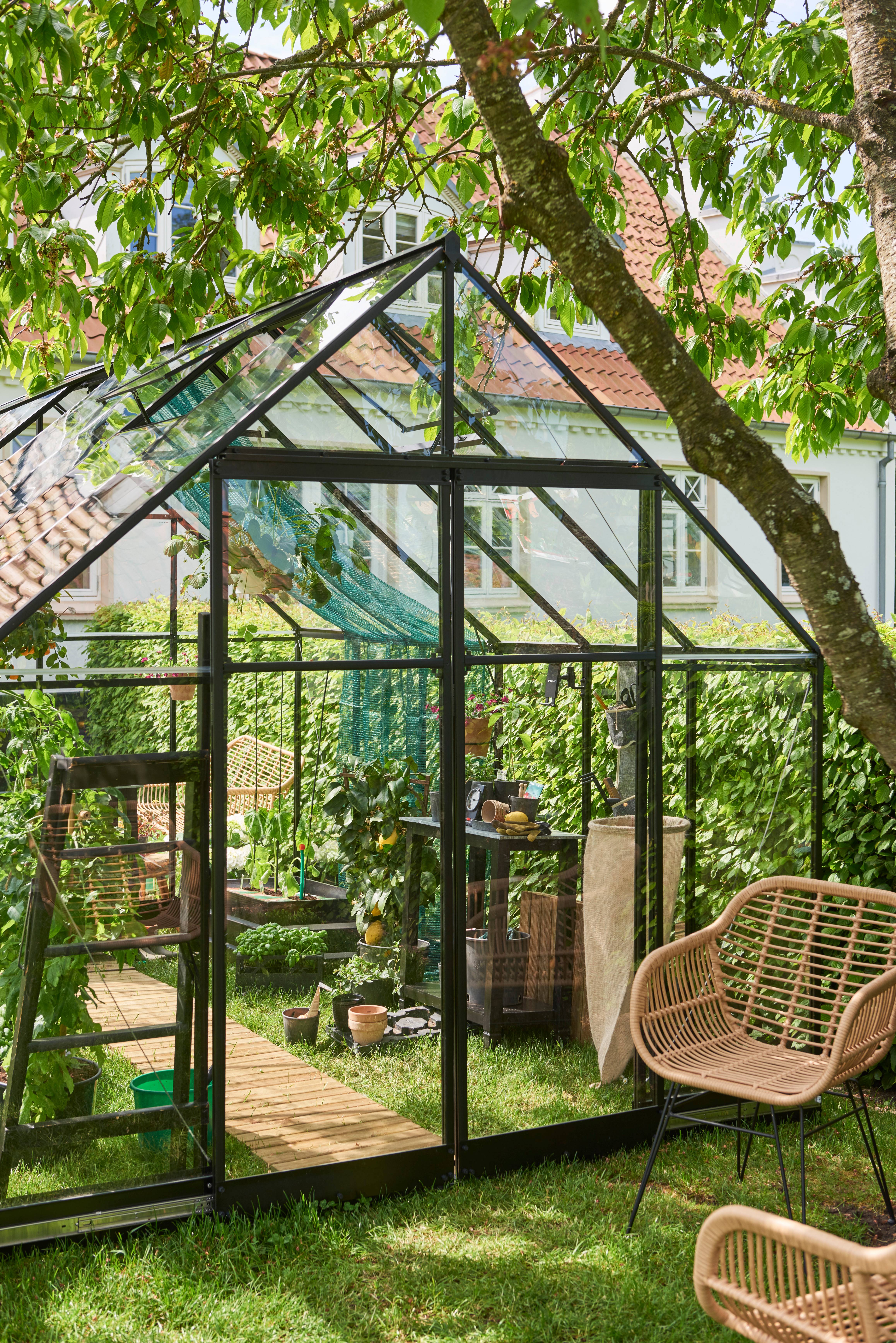Halls - Serre de jardin verre trempé aluminium noir 9,4 m² Qube 8 - Halls - Image 4