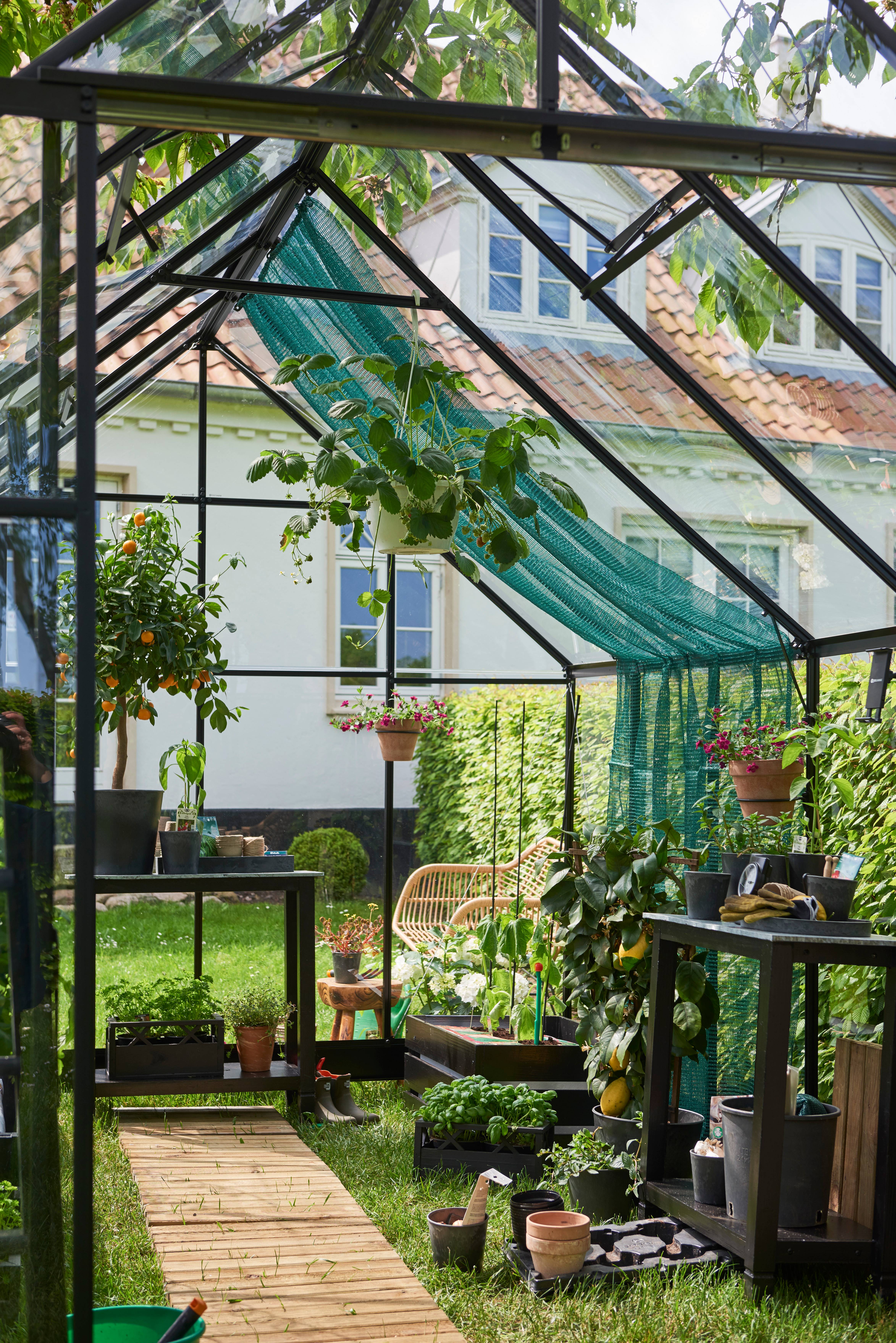 Halls - Serre de jardin verre trempé aluminium noir 9,4 m² Qube 8 - Halls - Image 7