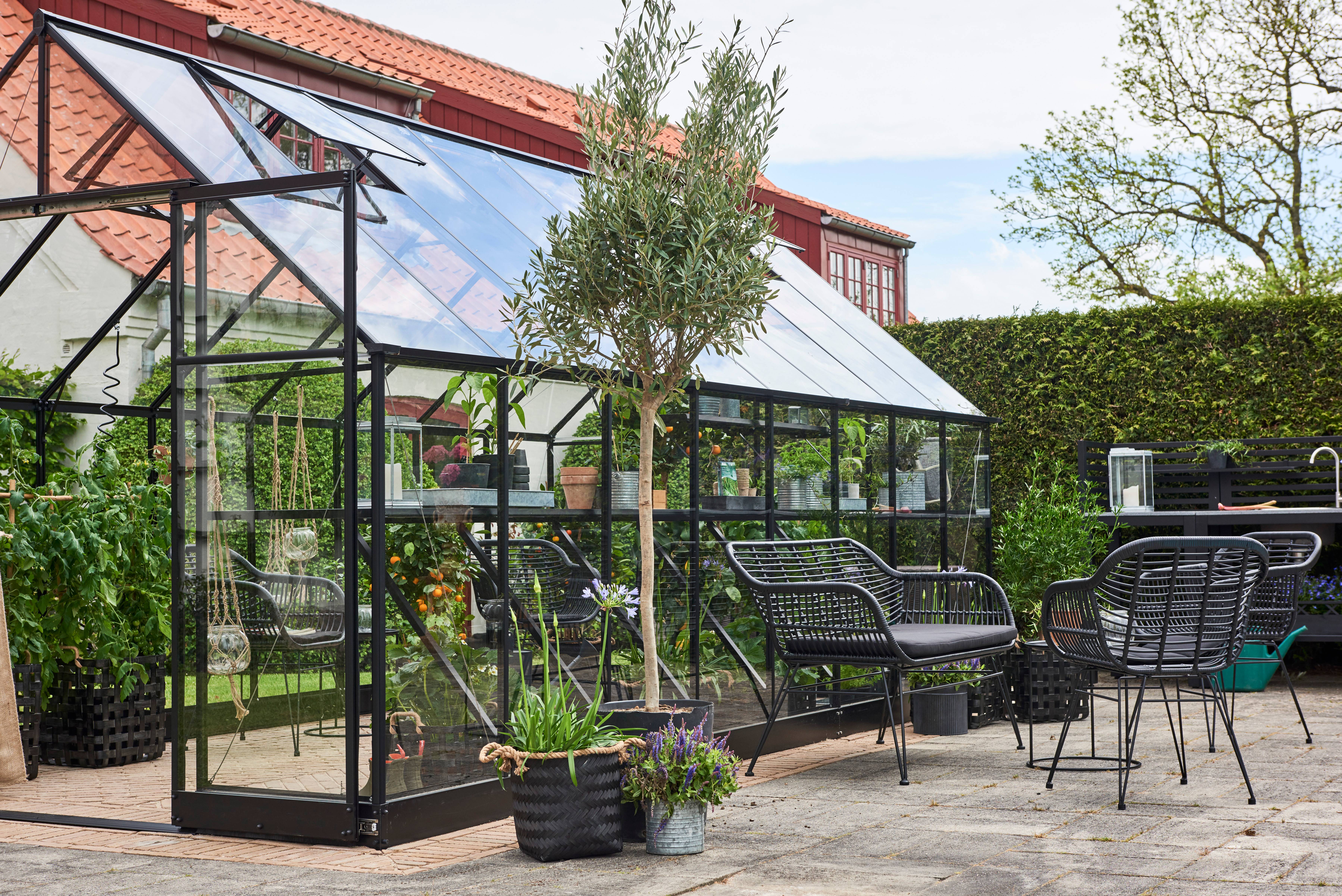 Halls - Serre de jardin verre trempé aluminium noir 12,5 m² Qube 8 - Halls - Image 4