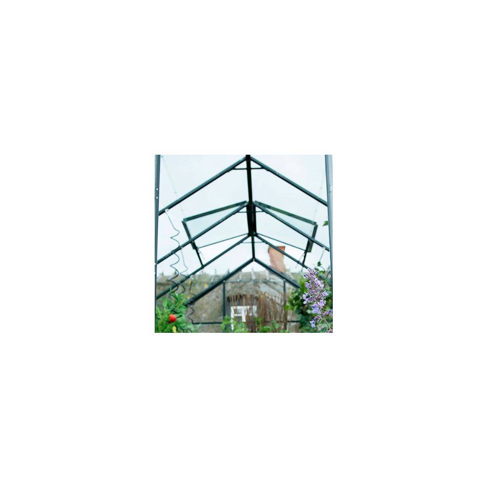 Halls - Serre de jardin Supreme verre trempé 8.1 m² - Halls - Image 3