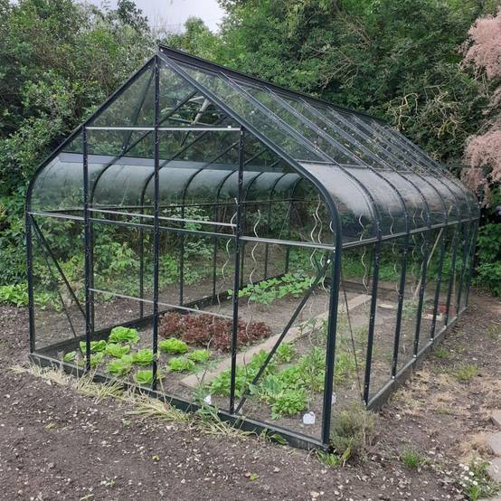 Halls - Serre de jardin Supreme verre trempé 11,4 m² + embase - Halls - Image 12