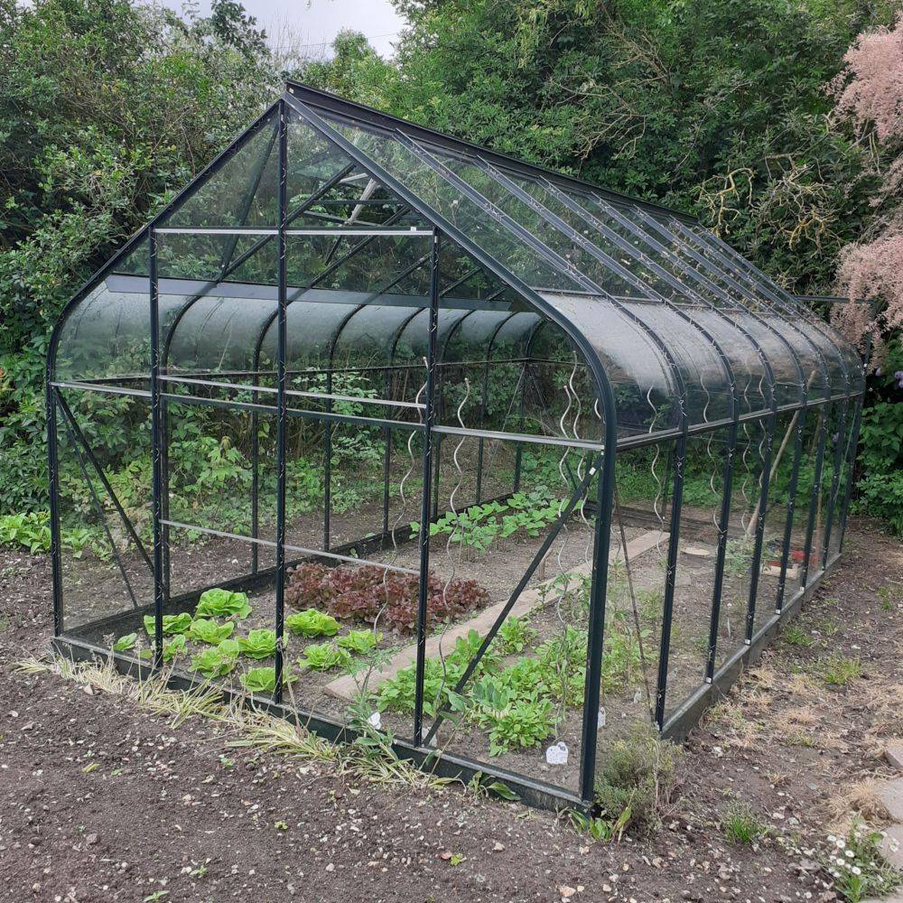Halls - Serre de jardin Supreme verre trempé 11,4 m² + embase - Halls - Image 12
