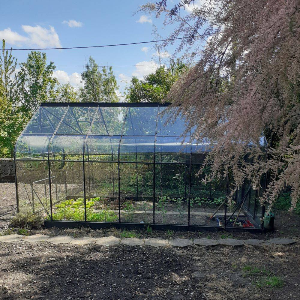 Halls - Serre de jardin Supreme verre trempé 11,4 m² + embase - Halls - Image 2