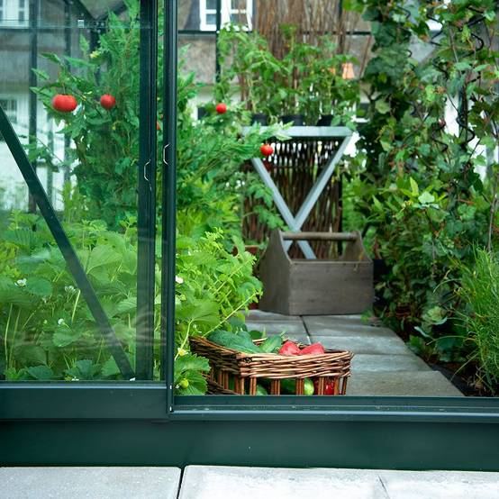 Halls - Serre de jardin Supreme verre trempé 11,4 m² + embase - Halls - Image 15