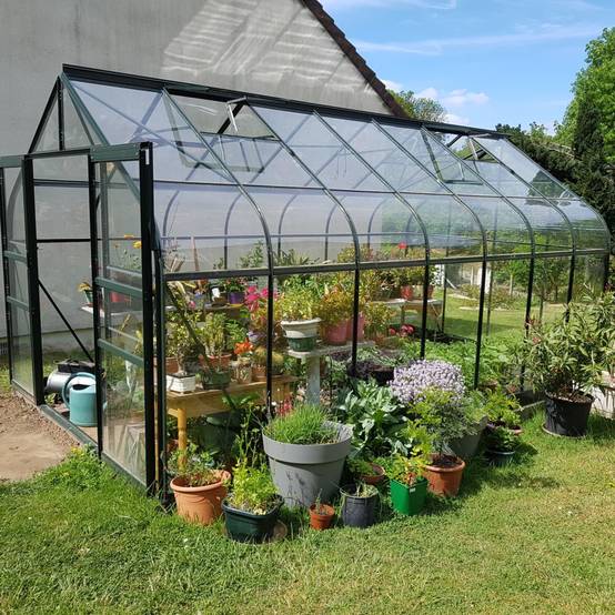 Halls - Serre de jardin Supreme verre trempé 11,4 m² + embase - Halls - Image 16