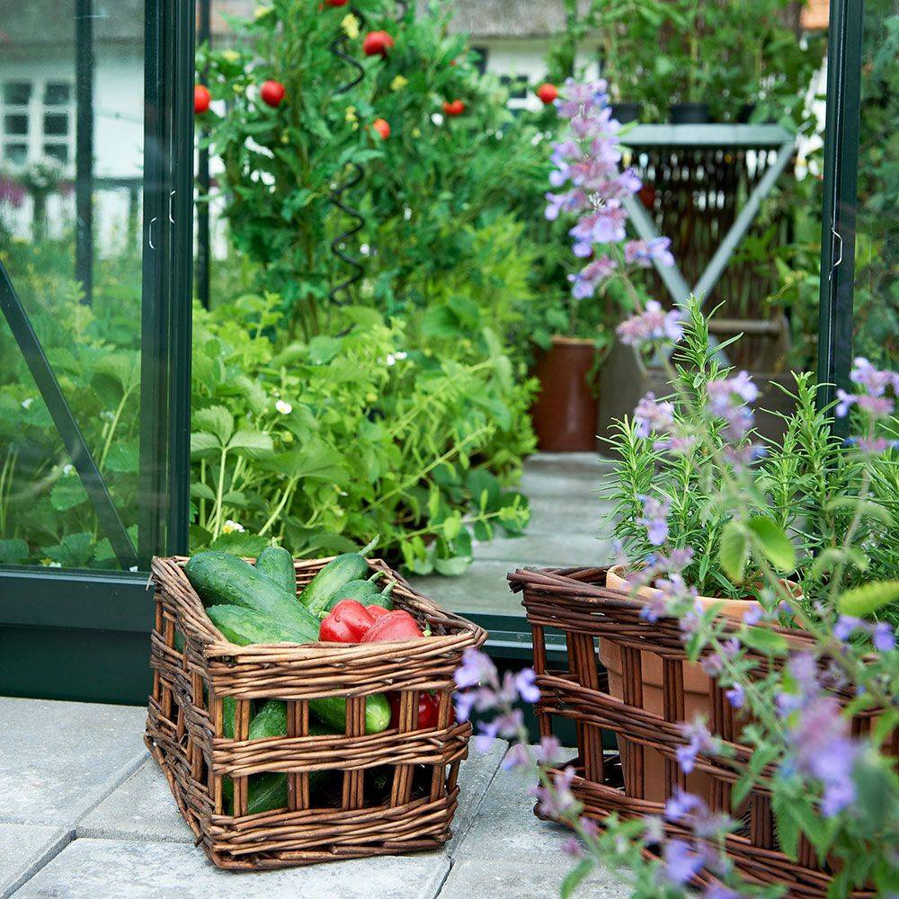 Halls - Serre de jardin Supreme verre trempé 11,4 m² + embase - Halls - Image 7