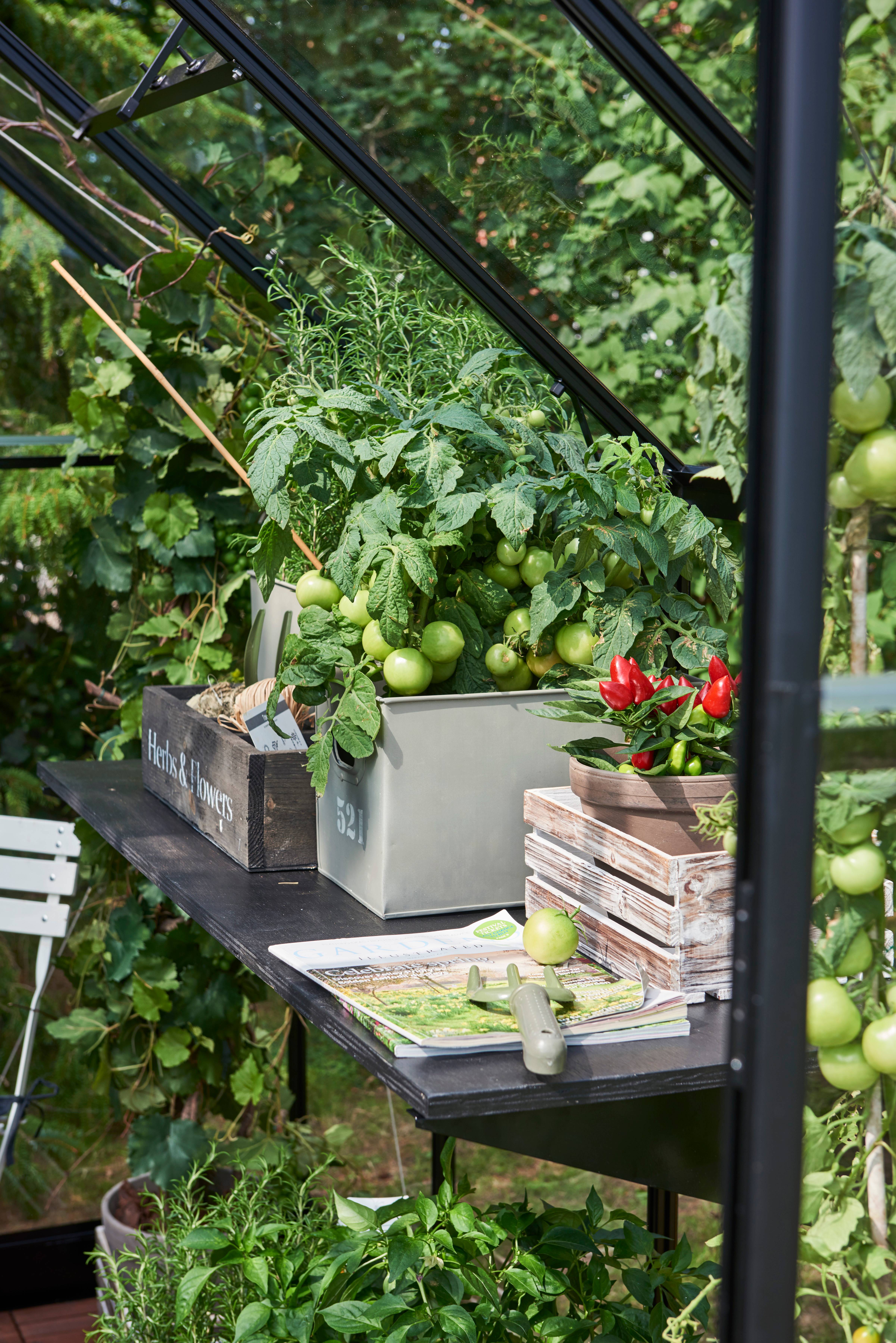 Halls - Serre de jardin verre trempé aluminium noir 3,6 m² Qube 6 - Halls - Image 3