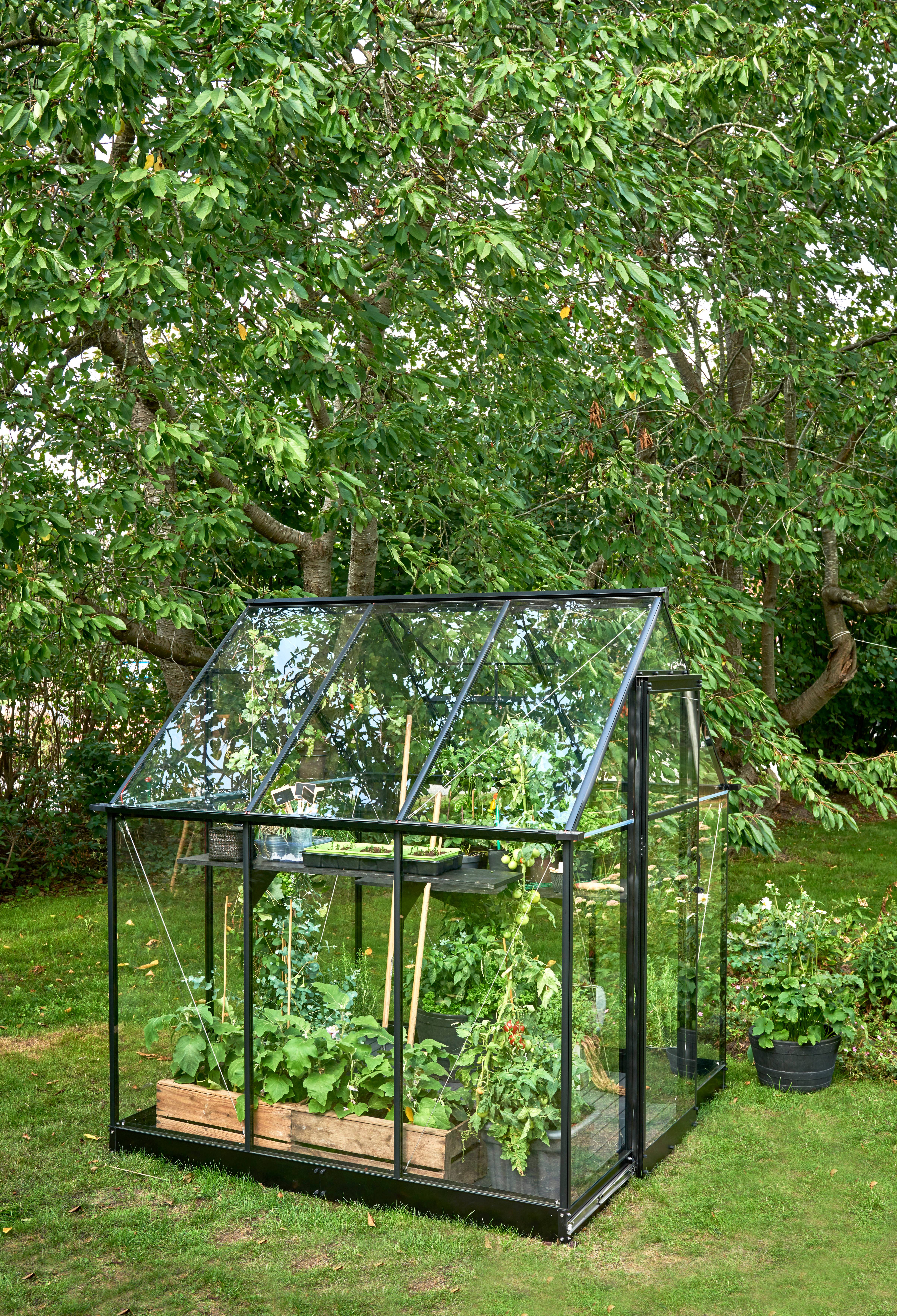 Halls - Serre de jardin verre trempé aluminium noir 3,6 m² Qube 6 - Halls