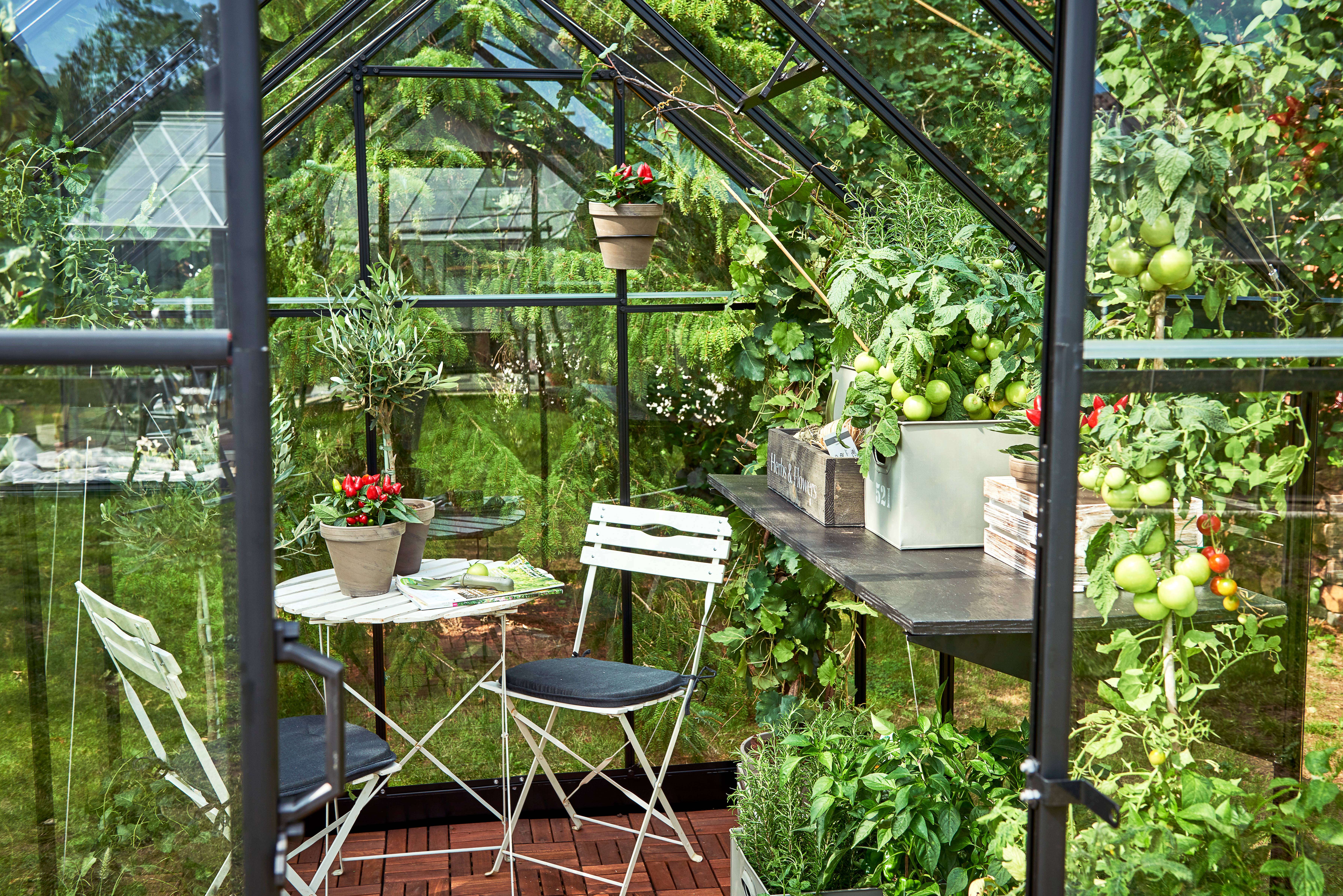 Halls - Serre de jardin verre trempé aluminium noir 3,6 m² Qube 6 - Halls - Image 6