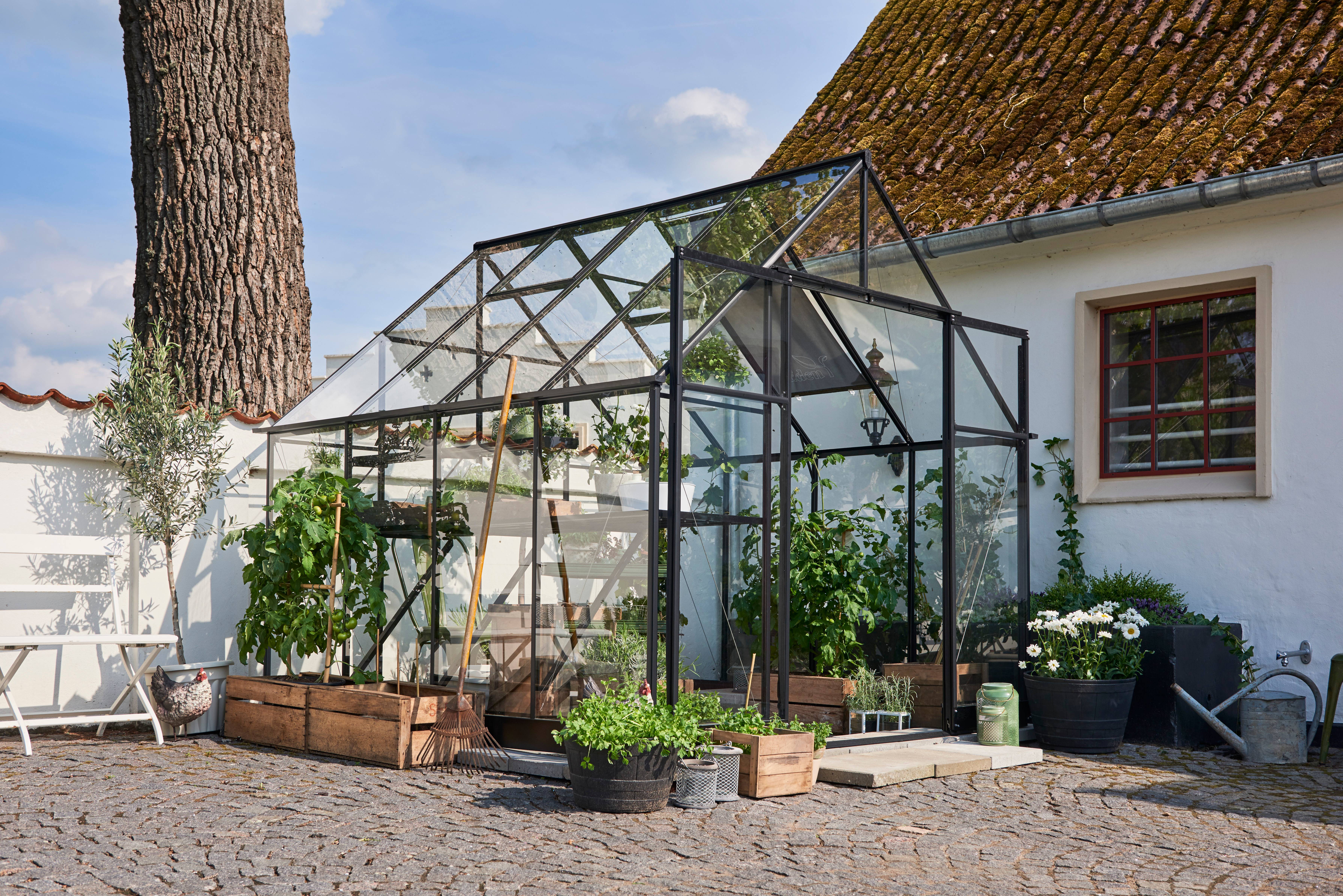 Halls - Serre de jardin verre trempé aluminium noir 6,3 m² Qube 8 - Halls - Image 6