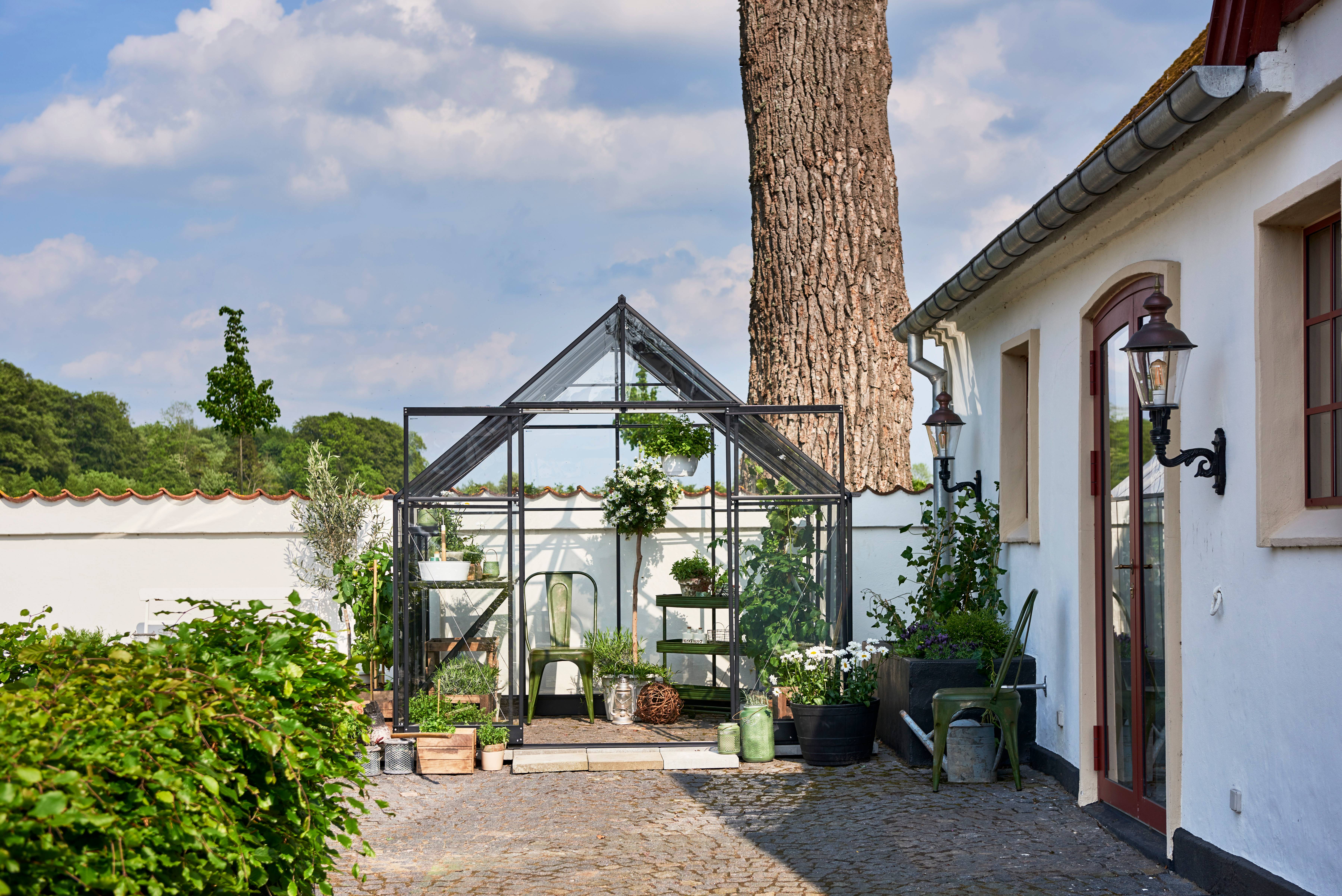 Halls - Serre de jardin verre trempé aluminium noir 6,3 m² Qube 8 - Halls - Image 8