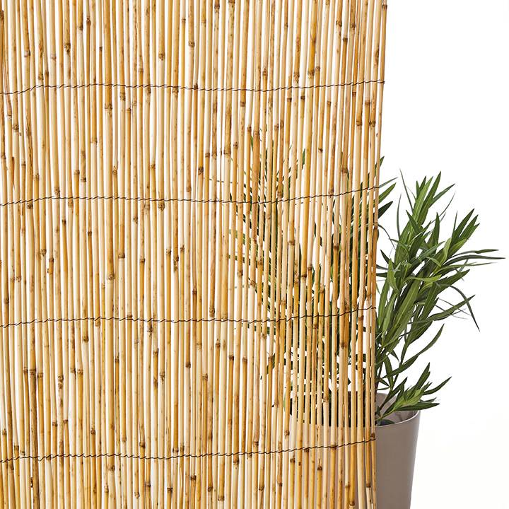 Ecloz - Canisse Roseaux Fendus 1,5 x 5 m - ECLOZ