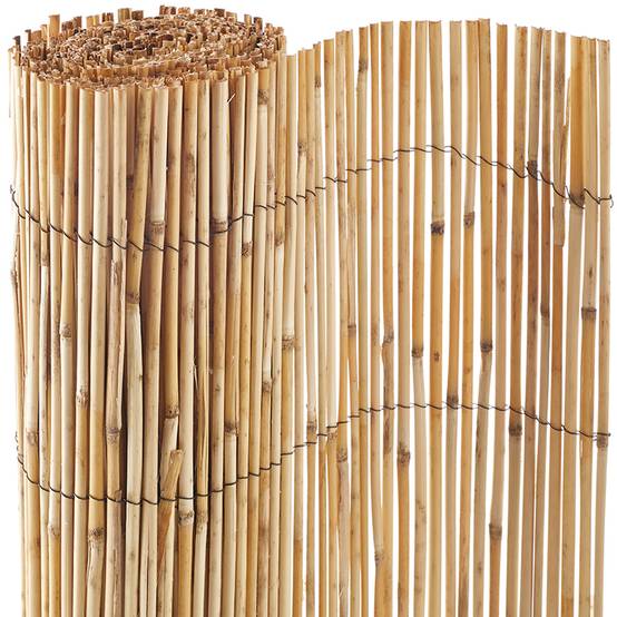 Ecloz - Canisse Roseaux Fendus 2 x 5 m - ECLOZ - Image 5