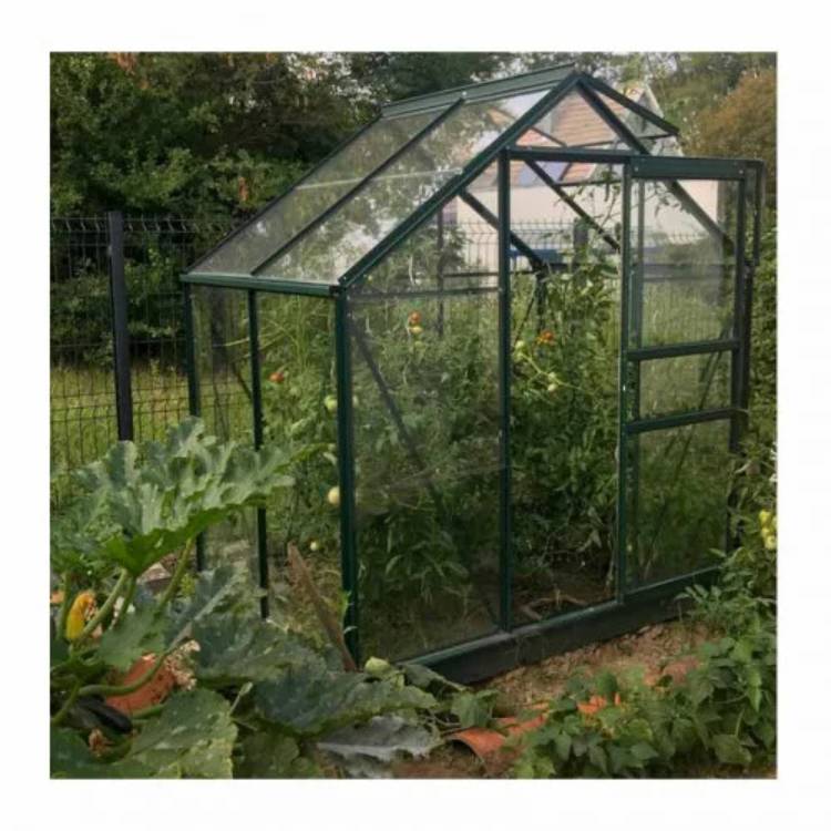 LAMS - Serre de jardin verre trempé aluminium brut 2,5 m² Allium avec embase - Lams - Image 4