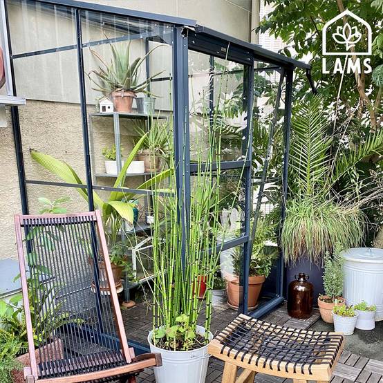 LAMS - Serre de jardin adossée verre trempé aluminium anthracite 1,7 m² Melissa avec embase - Lams