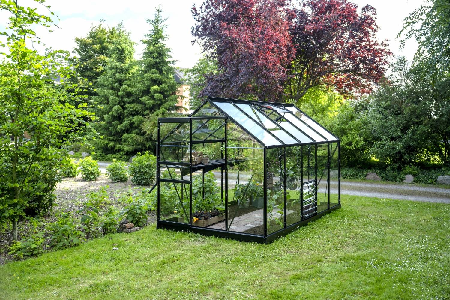 Halls - Serre de jardin verre trempé aluminium noir 6,2 m² Popular 106 - Halls