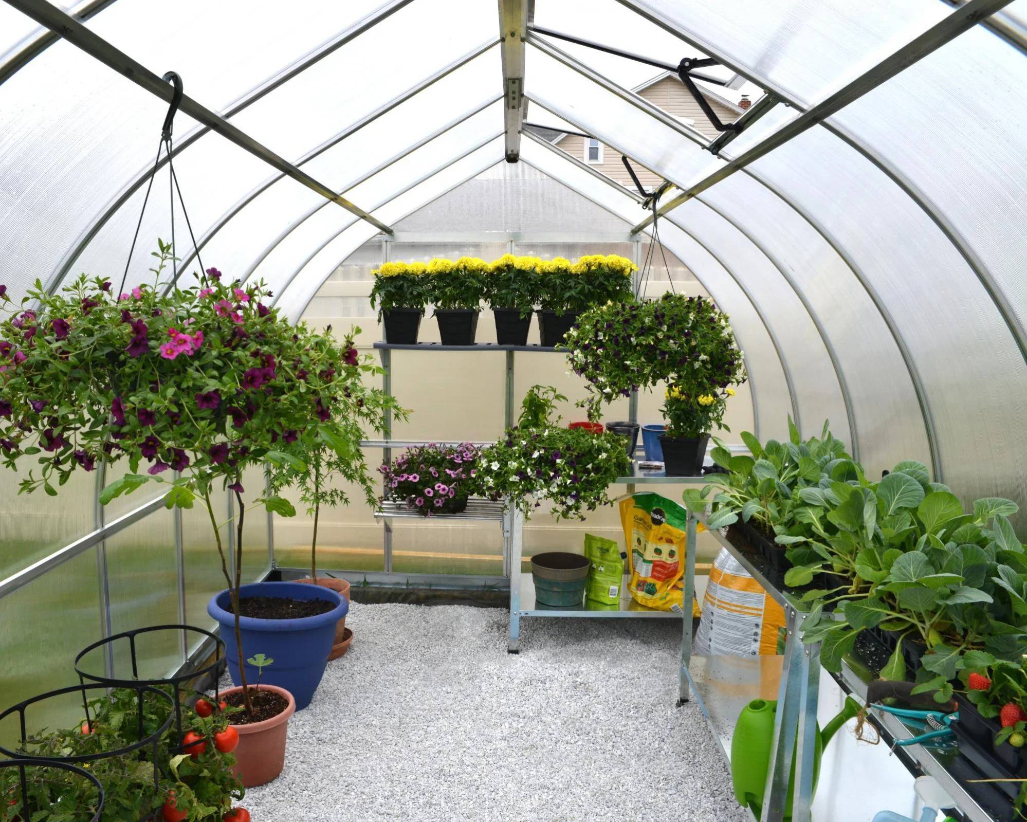 Canopia by Palram - Serre de Jardin Polycarbonate Double Paroi Argent 8,6 m² - PALRAM - Image 19