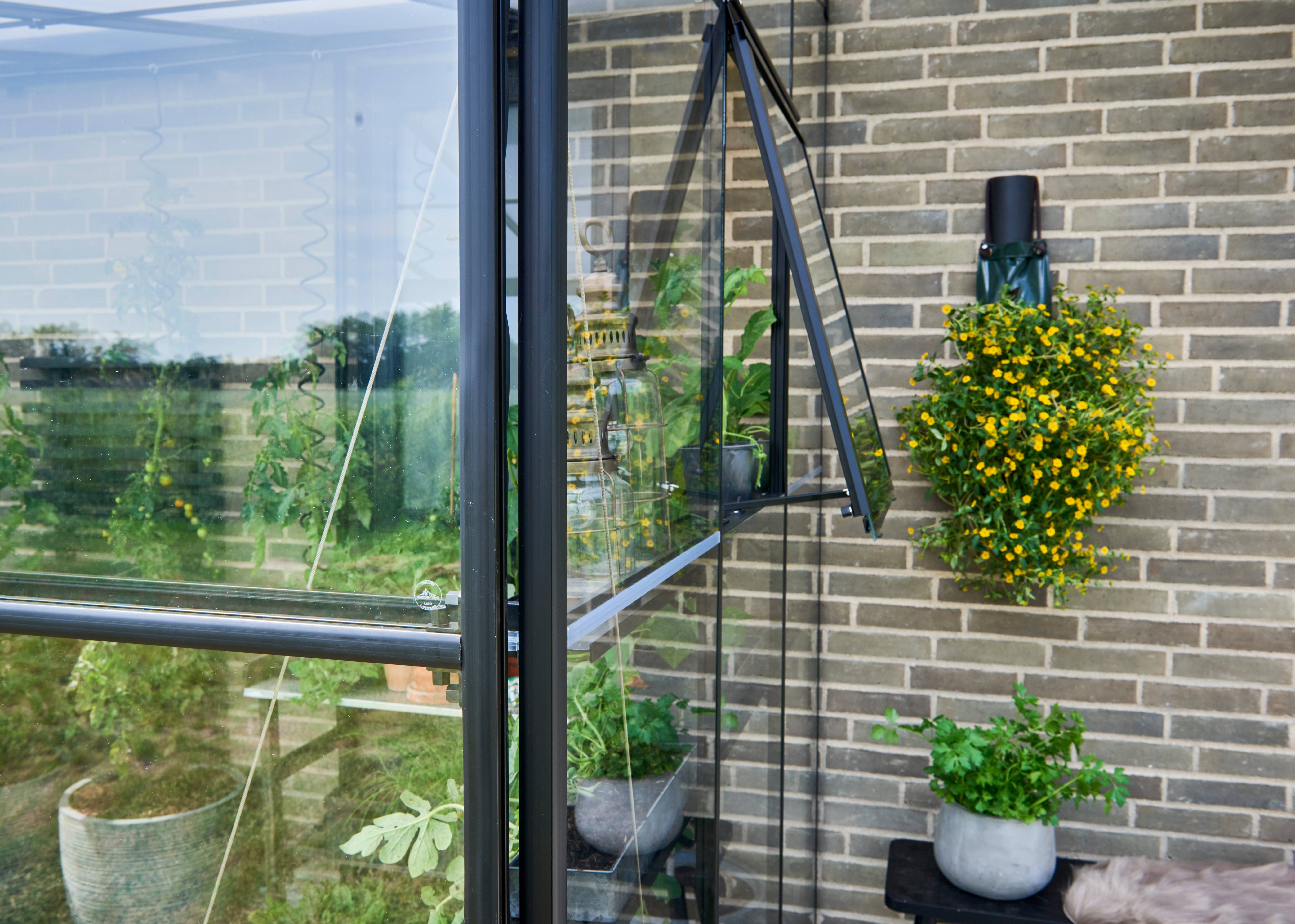 Halls - Serre de jardin adossée verre trempé polycarbonate aluminium noir 4,7 m² Qube Lean-to 6 - Halls - Image 3