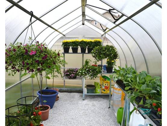 Canopia by Palram - Serre de Jardin Polycarbonate Double Paroi Argent 14,27 m² 601 x 244 x 219 cm - PALRAM - Image 3