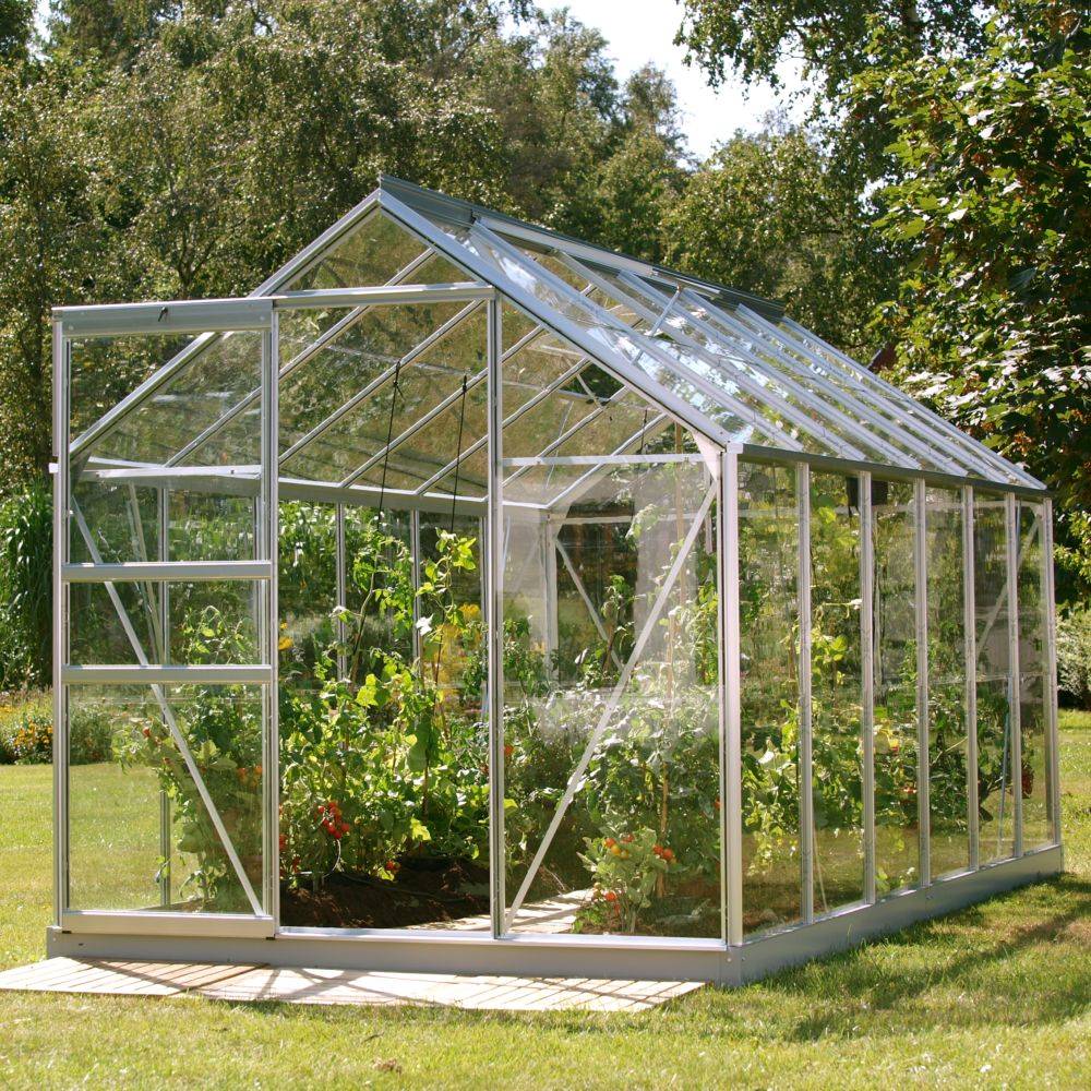 LAMS - Serre de jardin verre trempé aluminium brut 7,3 m² Allium avec embase - Lams - Image 5