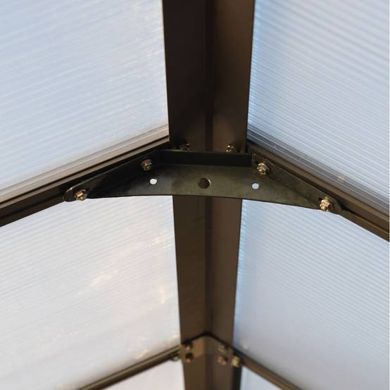 Serre de jardin Polycarbonate Aluminium Gris Anthracite 11,42 m² – PALRAM - Image 2