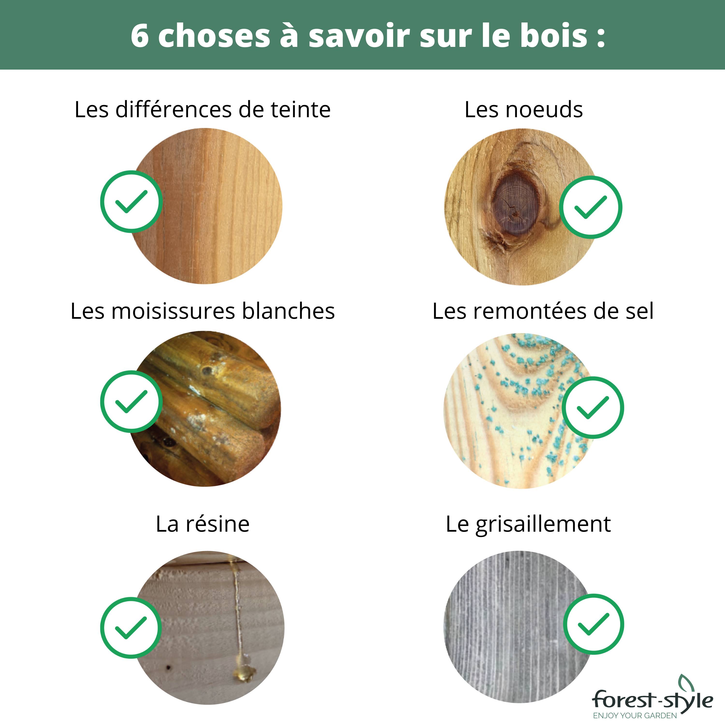Cerland - Abri de jardin bois Huron - Cerland - Image 11