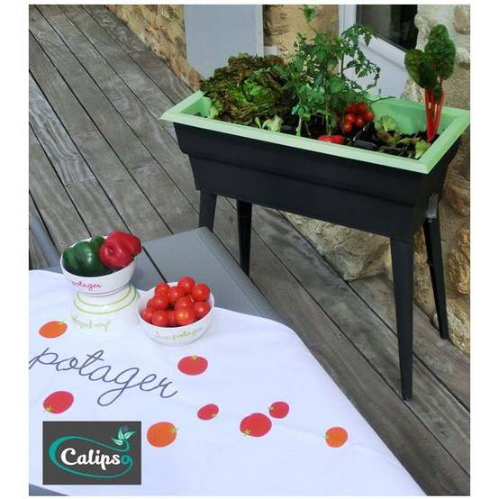 Calipso - Jardinière mini-serre gris / vert tilleul 40 L Combi avec réservoir d'eau - Calipso - Image 6
