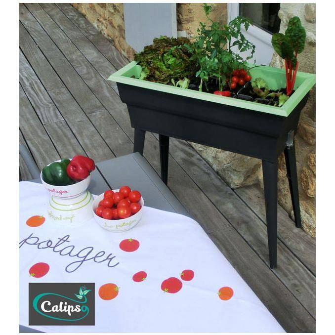 Calipso - Jardinière mini-serre gris / vert tilleul 40 L Combi avec réservoir d'eau - Calipso - Image 6
