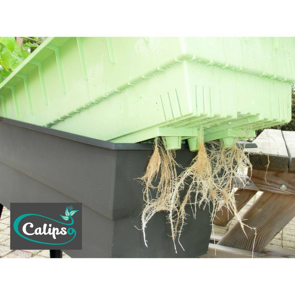 Calipso - Jardinière mini-serre gris / vert tilleul 40 L Combi avec réservoir d'eau - Calipso - Image 13