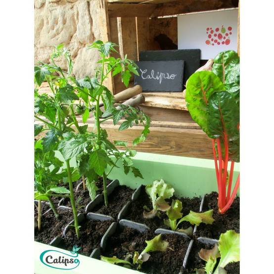 Calipso - Jardinière mini-serre gris / vert tilleul 40 L Combi avec réservoir d'eau - Calipso - Image 4