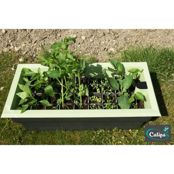 Calipso - Jardinière mini-serre gris / vert tilleul 40 L Combi avec réservoir d'eau - Calipso - Image 8
