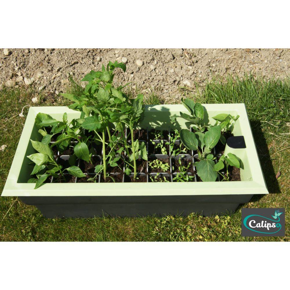 Calipso - Jardinière mini-serre gris / vert tilleul 40 L Combi avec réservoir d'eau - Calipso - Image 8