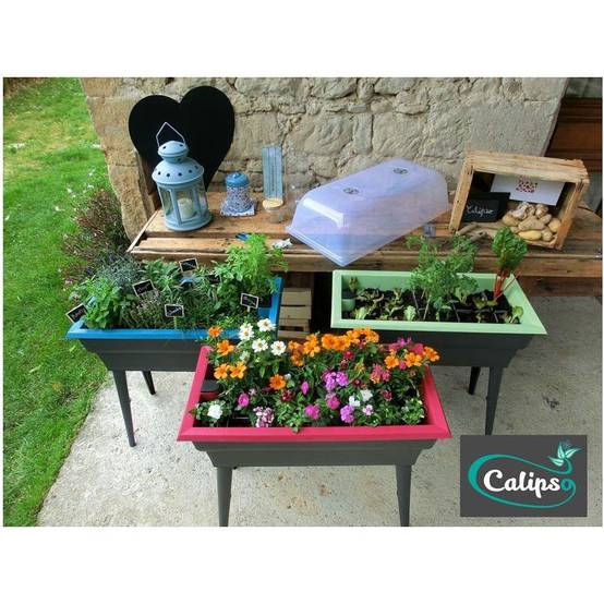 Calipso - Jardinière mini-serre gris / vert tilleul 40 L Combi avec réservoir d'eau - Calipso - Image 12
