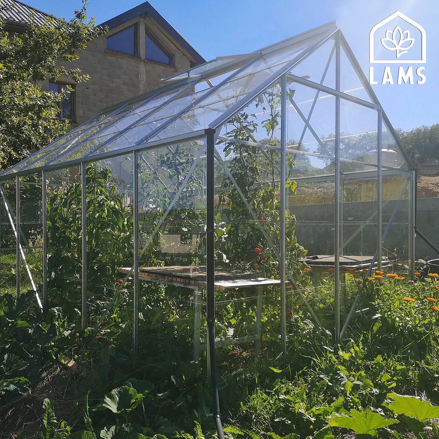 LAMS - Serre de jardin verre trempé aluminium brut 8,1 m² Carvi avec embase - Lams - Image 9