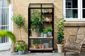 Juliana - Serre de jardin verre trempé aluminium noir 0,32 m² City sur roulettes 2 étagères - Juliana