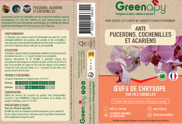 Greenapy - Chrysope Chrysoperla carnea 300 œufs - Greenapy - Image 1
