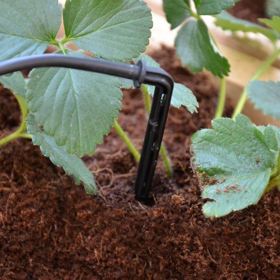 Canopia by Palram - Kit Irrigation Goutte à Goutte - CANOPIA - Image 7