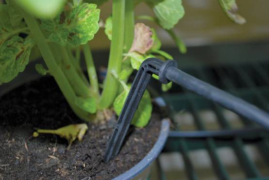Canopia by Palram - Kit Irrigation Goutte à Goutte - CANOPIA - Image 12