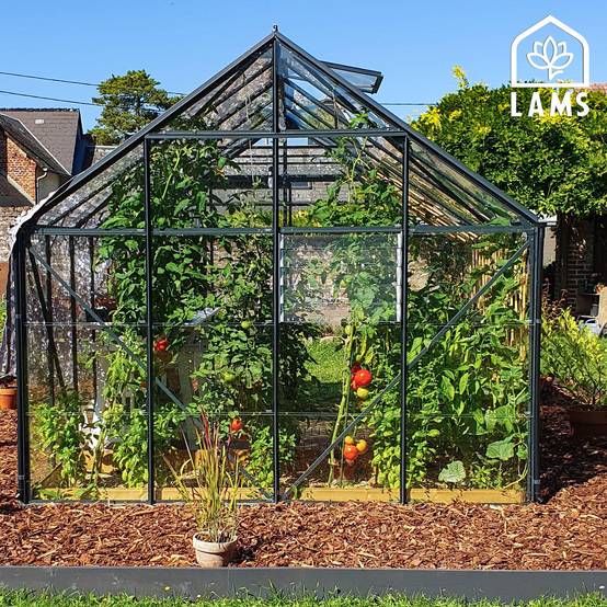 LAMS - Serre de jardin verre trempé aluminium vert 8,1 m² Carvi avec embase - Lams - Image 4