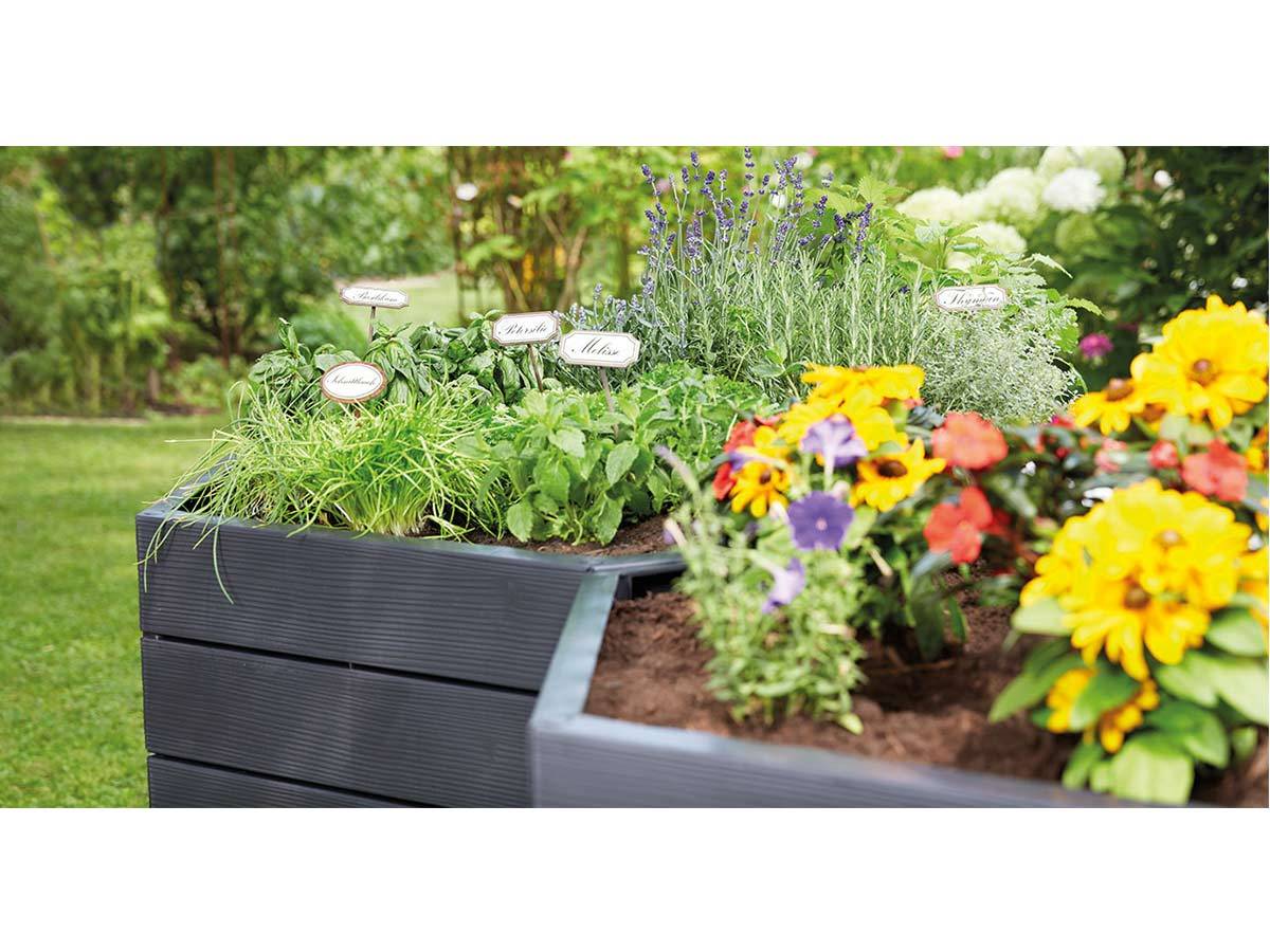 Kit de 2 Carrés Potager - GARANTIA - Image 10