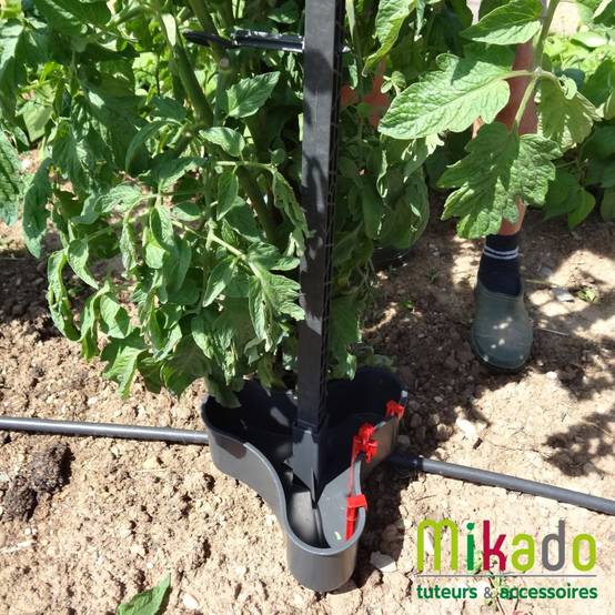 Pack 6 tuteurs avec attaches – MIKADO - Image 8