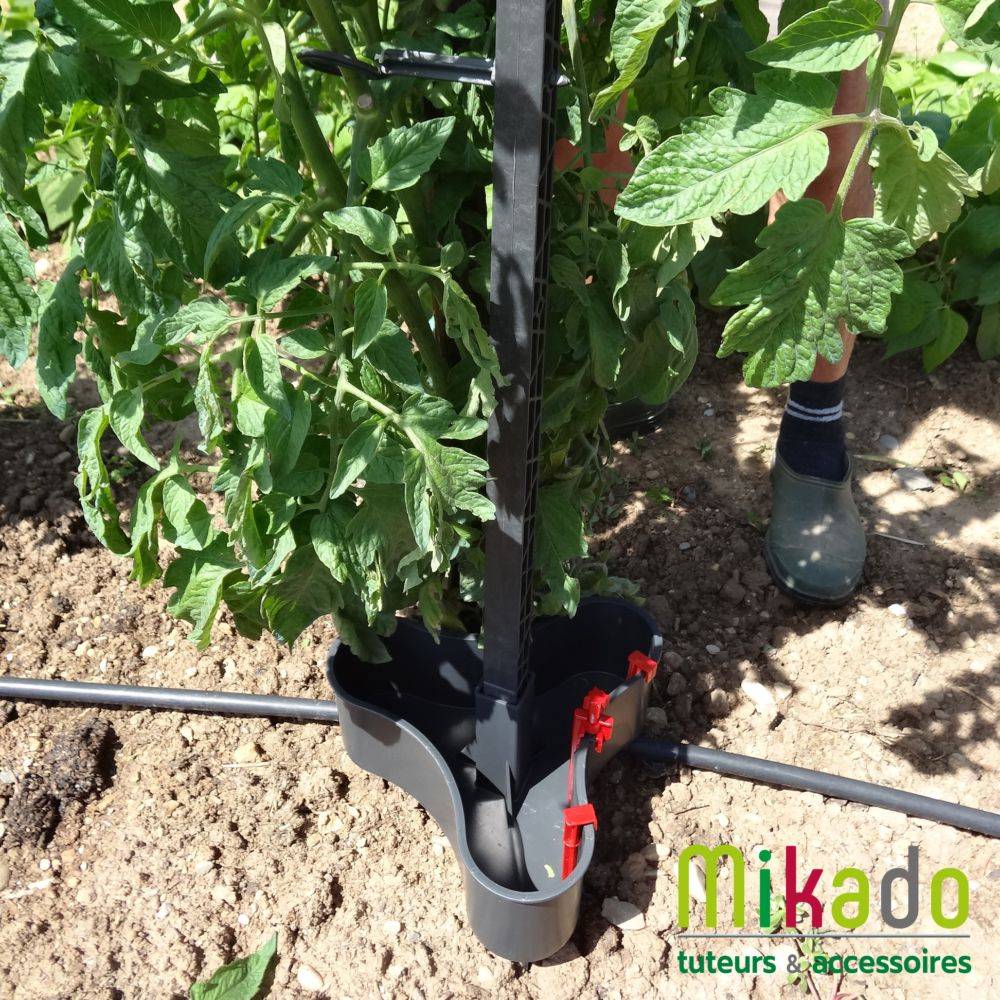 Pack 6 tuteurs avec attaches – MIKADO - Image 8