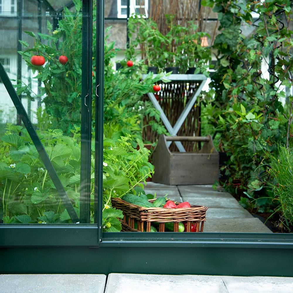 Halls - Serre de jardin verre trempé aluminium vert 3,8 m² Popular 66 - Halls - Image 2